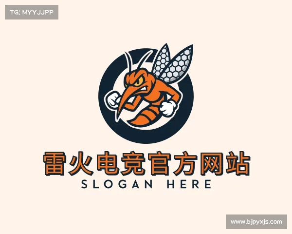 关于雷火电竞官方网站